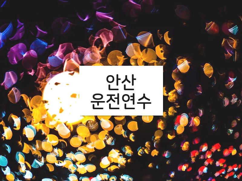 안산운전연수 후기