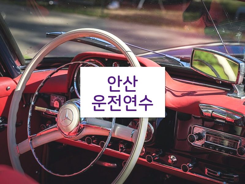 안산운전연수 후기