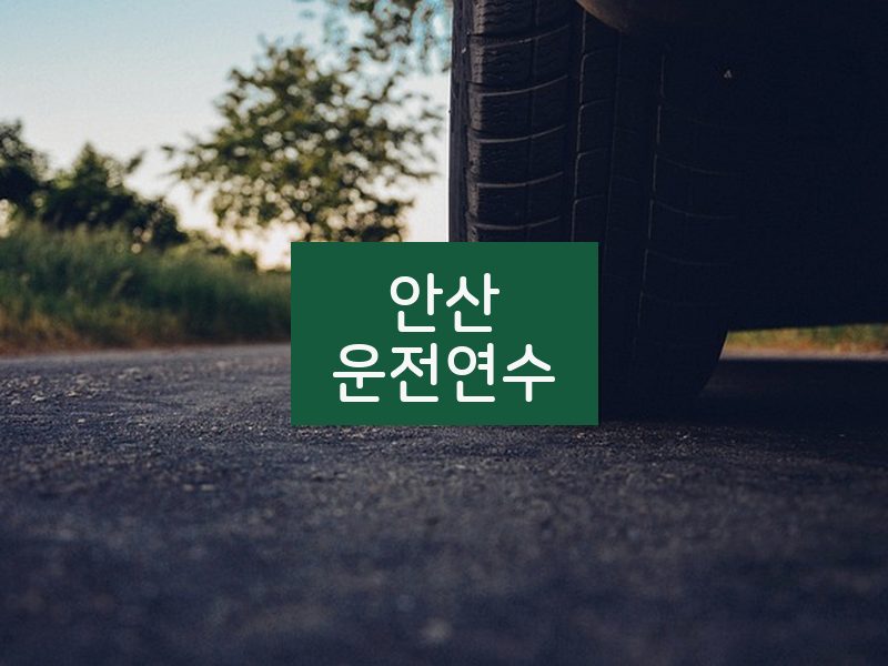 안산운전연수 후기