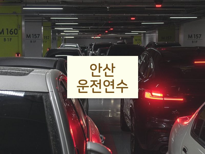 안산운전연수 후기