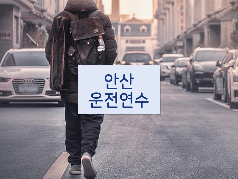 안산운전연수 후기