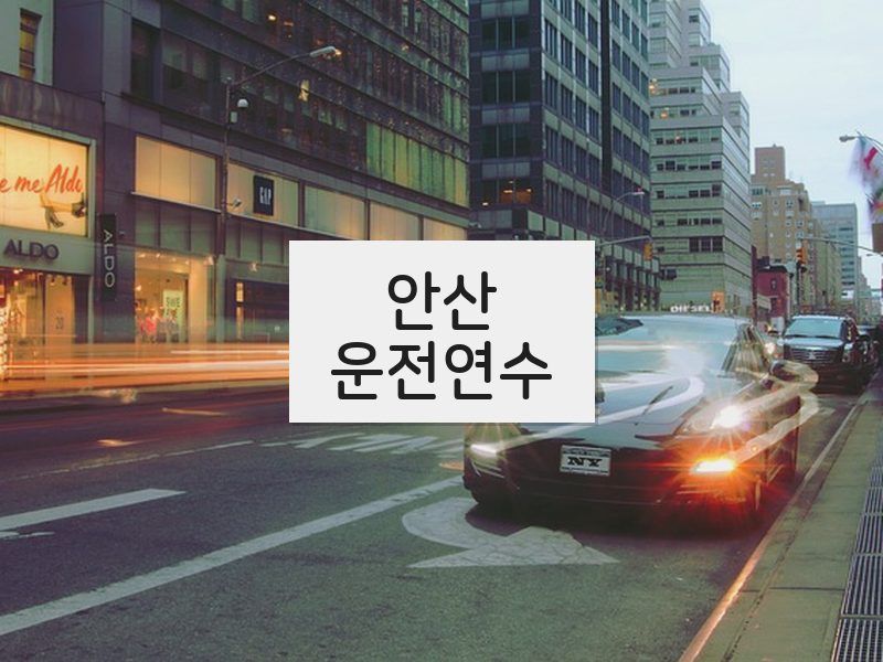 안산운전연수 후기