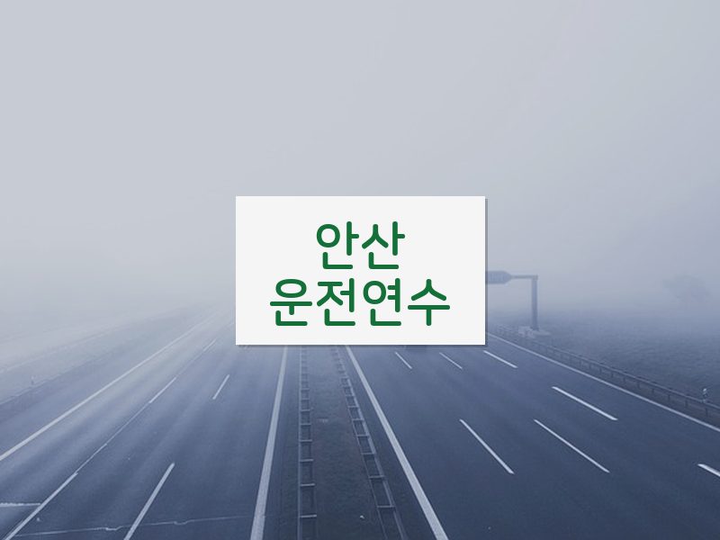 안산운전연수 후기