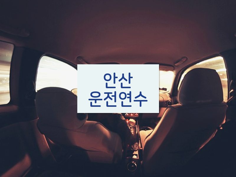 안산운전연수 후기