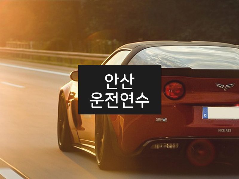 안산운전연수 후기