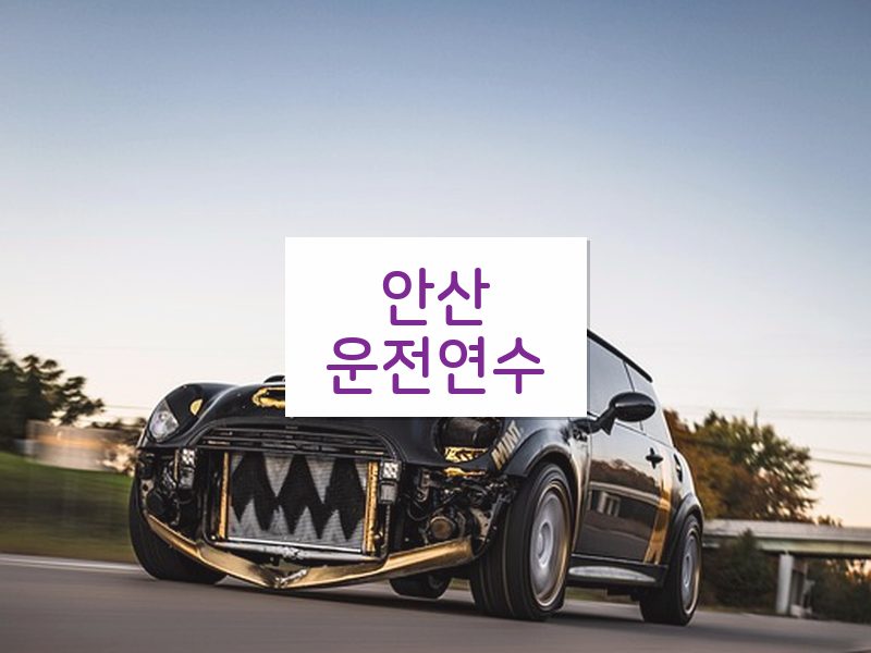 안산운전연수 후기