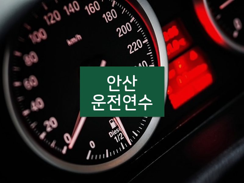 안산운전연수 후기