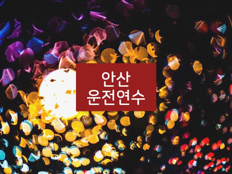 안산운전연수 후기