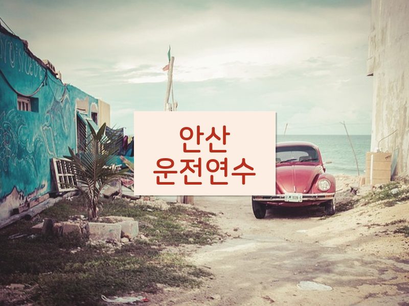 안산운전연수 후기