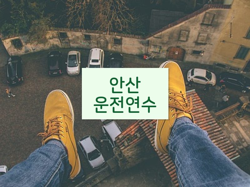 안산운전연수 후기