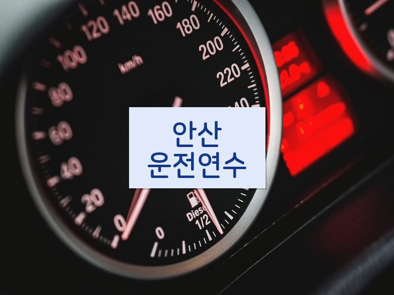 안산운전연수 후기