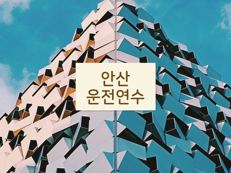 안산운전연수 후기