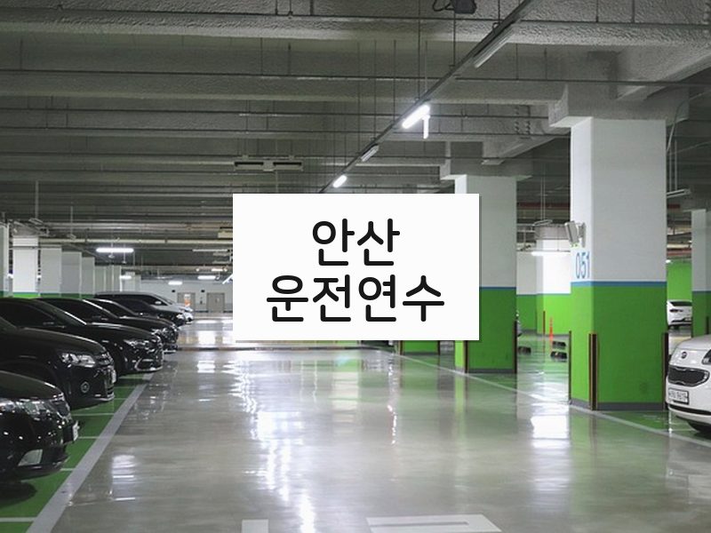 안산운전연수 후기