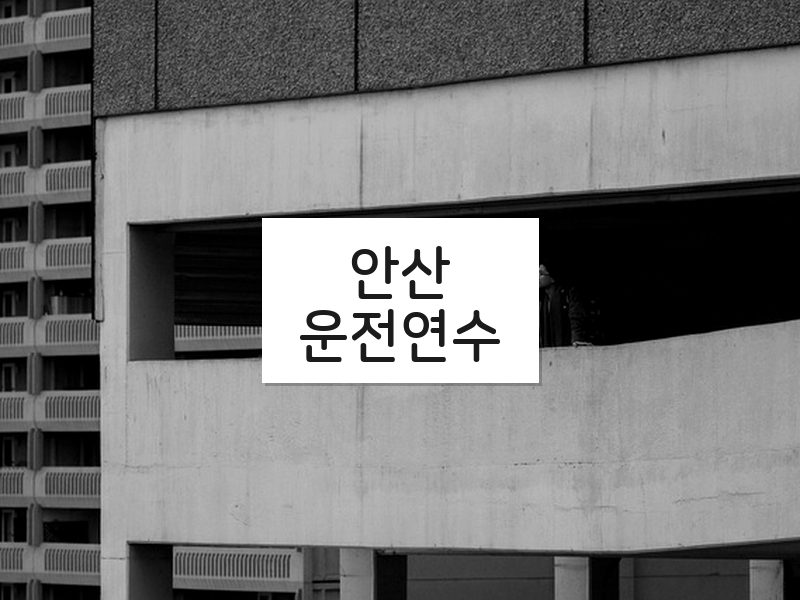 안산운전연수 후기