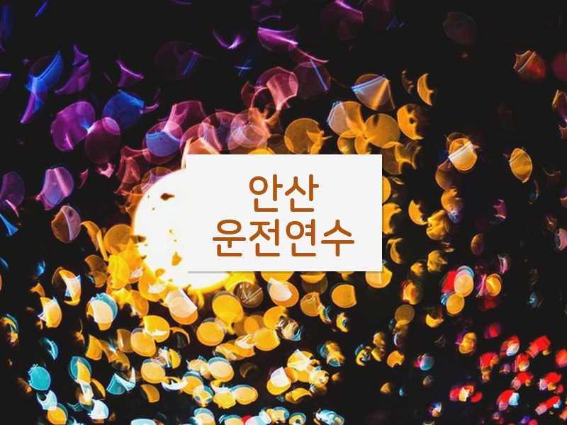 안산운전연수 후기