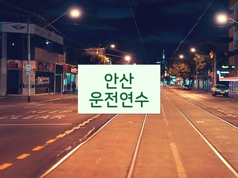 안산운전연수 후기