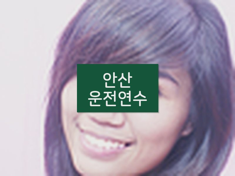 안산운전연수 후기