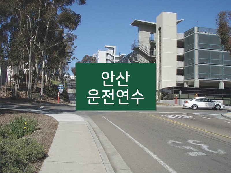 안산운전연수 후기