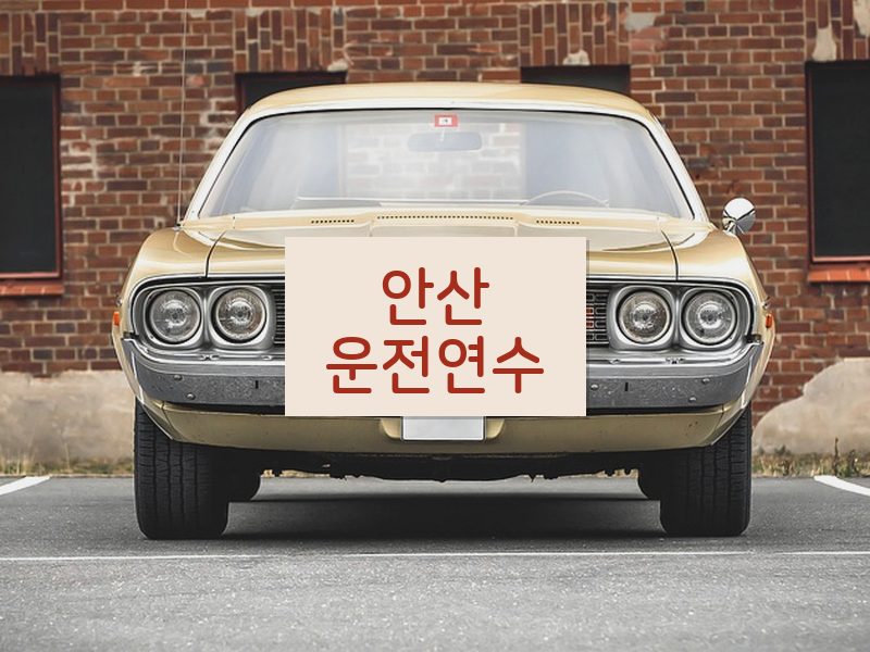 안산운전연수 후기