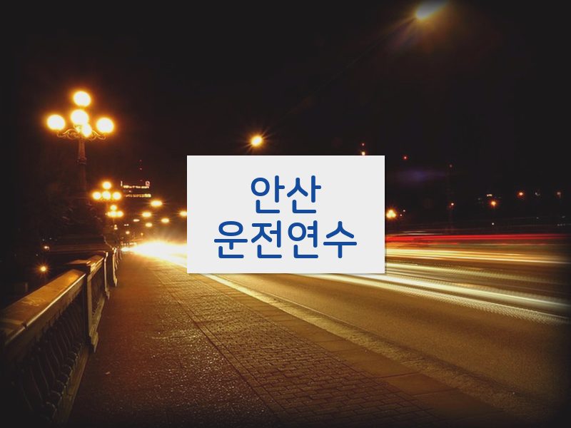 안산운전연수 후기