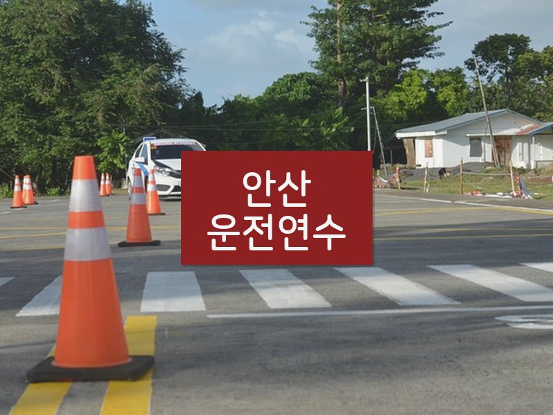 안산운전연수 후기
