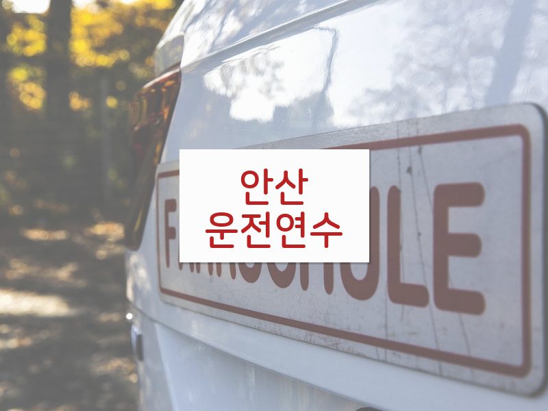 안산운전연수 후기
