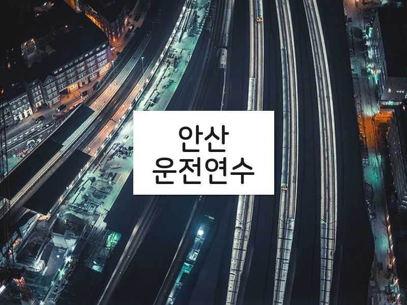 안산운전연수 후기
