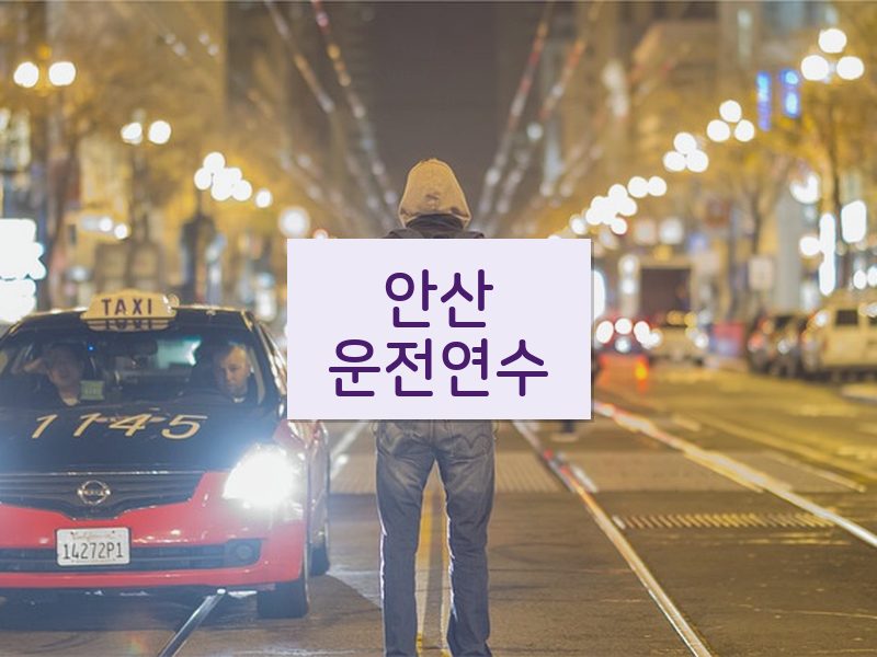 안산운전연수 후기