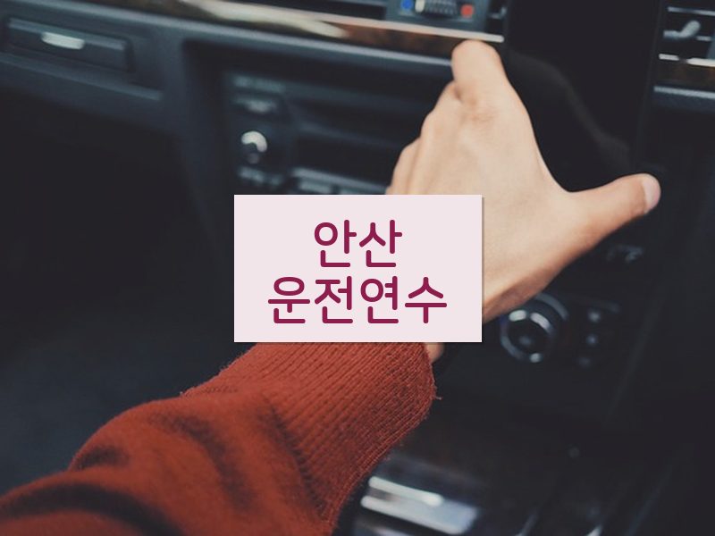 안산운전연수 후기
