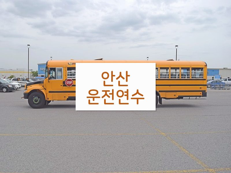 안산운전연수 후기