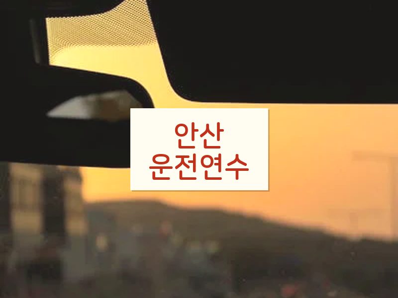 안산운전연수 후기