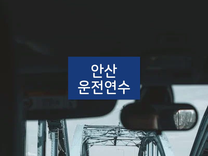 안산운전연수 후기