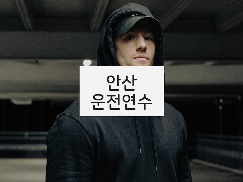 안산운전연수 후기