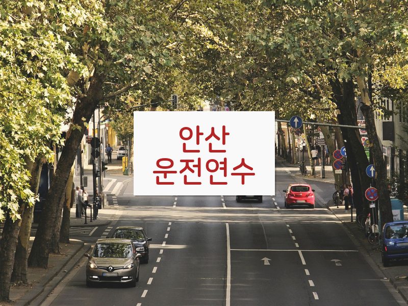 안산운전연수 후기