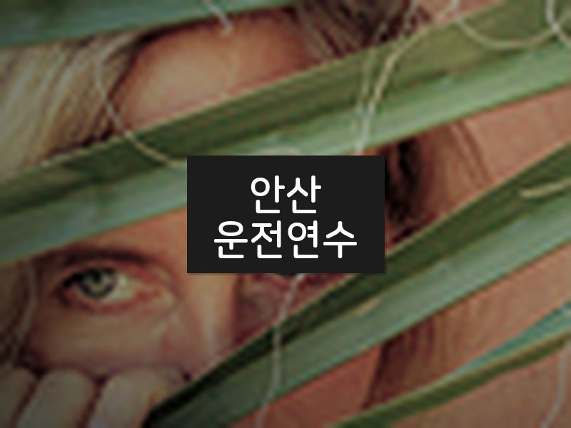 안산운전연수 후기