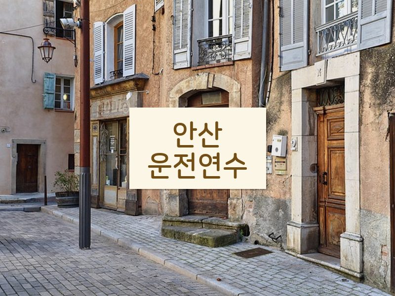 안산운전연수 후기