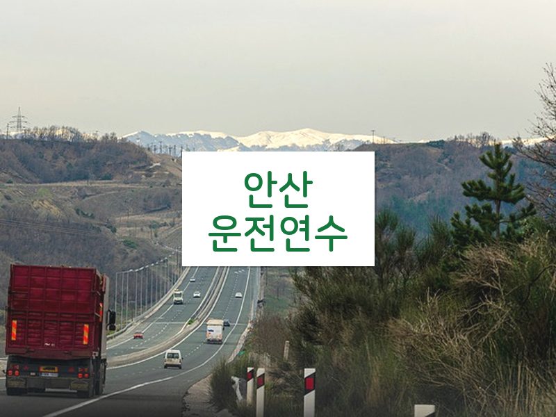 안산운전연수 후기