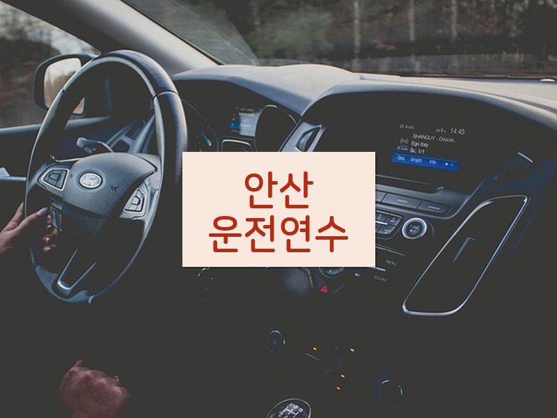 안산운전연수 후기