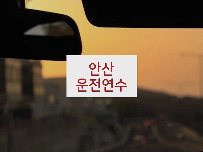 안산운전연수 후기