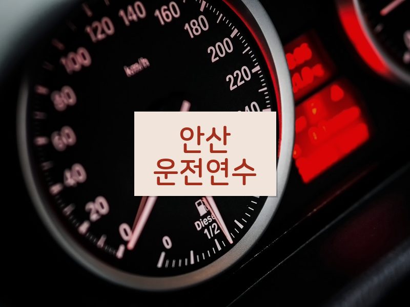 안산운전연수 후기