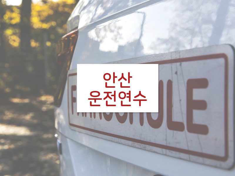 안산운전연수 후기