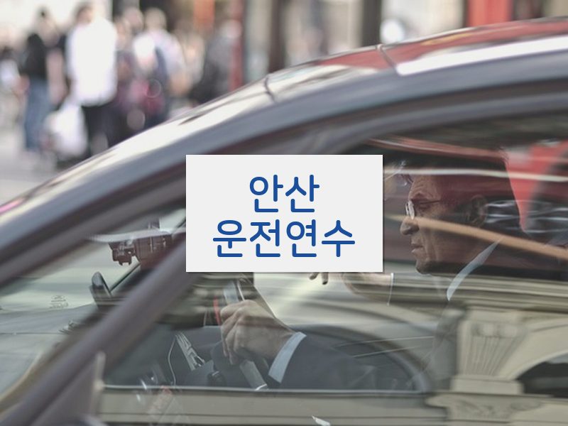 안산운전연수 후기