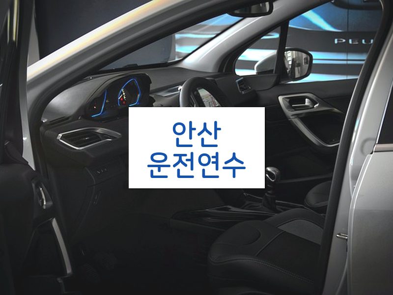 안산운전연수 후기
