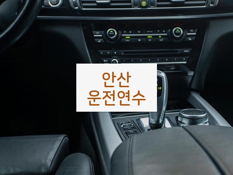 안산운전연수 후기