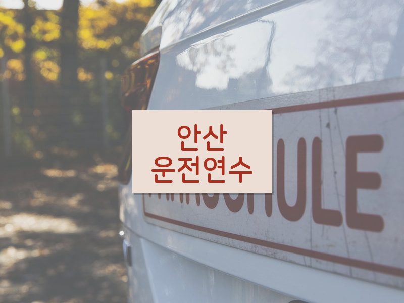 안산운전연수 후기