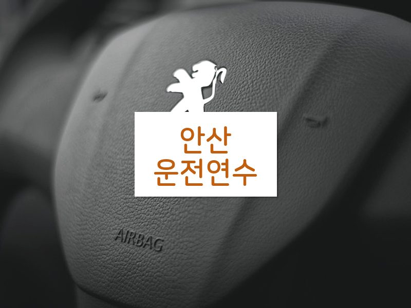 안산운전연수 후기