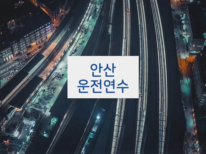 안산운전연수 후기