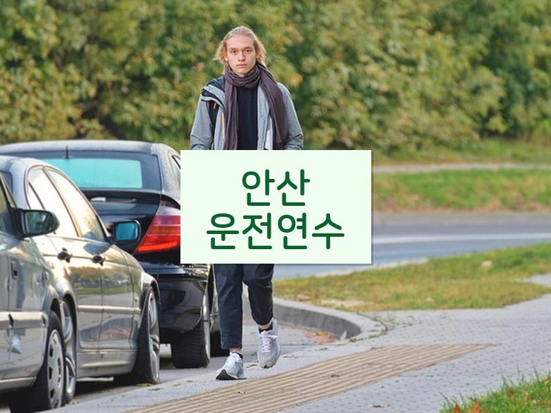 안산운전연수 후기
