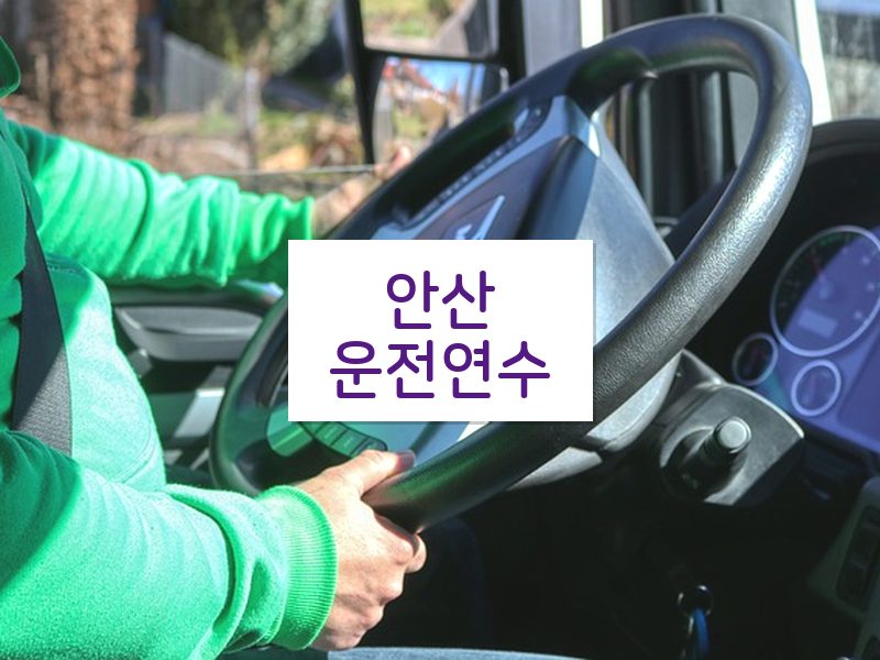 안산운전연수 후기