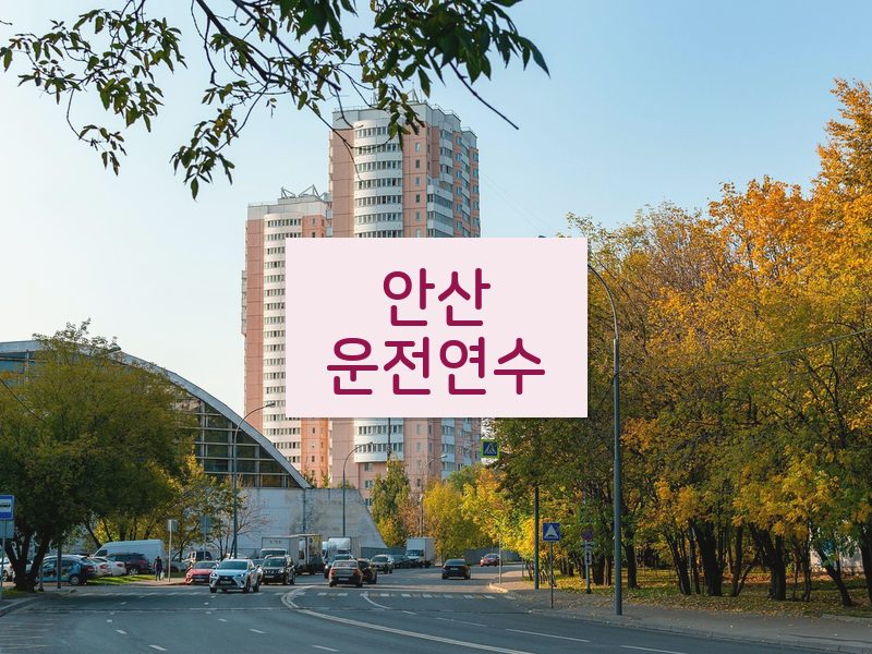 안산운전연수 후기